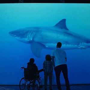 Our AMAZING 'out of water' shark experience is now open! 🦈 This half term come face to face with life-sized sharks in 'Planet Shark: Predator or Prey' where you'll be transported under the sea in our brand NEW immersive exhibition space 🙌 Free with zoo entry, be sure to book today with the link below! 👇 | Chester Zoo