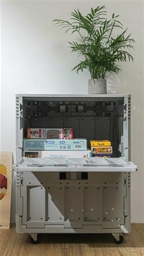 MEGA SHOW 2025 — Thank You for Visiting