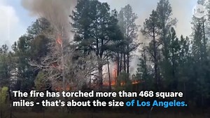New Mexico wildfire becomes largest in state history, destroys more than 1,000 homes
