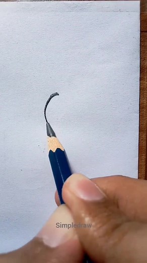 Easy and Simple Drawing Techniques for Beginners