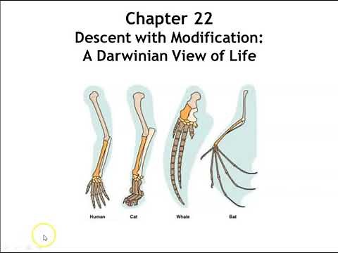 Chapter 22: Descent with Modification: A Darwinian View of Life