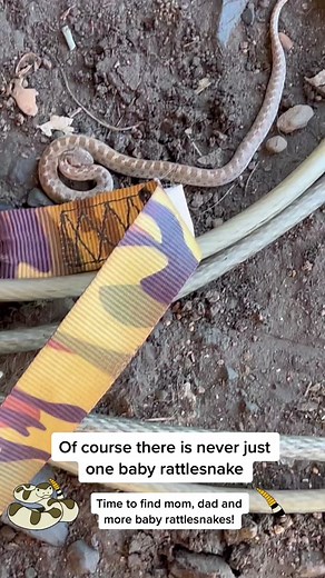 Print Signs Quick on TikTok