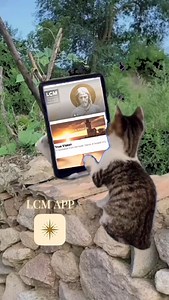 💛 Join us in the LCM App! 💛 🎥 Enjoy live events 🧘‍♂️ Melt into mystical meditations ✨ Be inspired by the daily “Gospel of Love” 🎶 Surrender to heart opening music Our inspiration is to share in the experience of the Spirit’s Love that reminds us of the boundless joy, profound peace, and the Living Presence that resides within us 🙏✨ ✨🕊 Download the app here: https://livingchurchministries.org/app ✨ | Living Church Ministries Utah