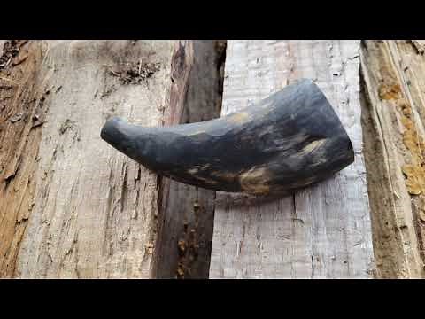 Making a Pocket Powder Horn with a French spout Part One, flattening and rough shaping.