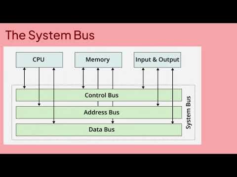 Exploring Input/Output Devices and the System Bus in Computer Organization & Architecture