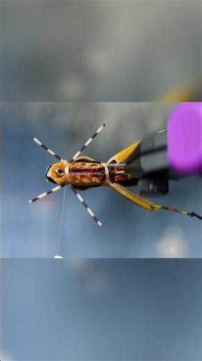 Meet the Project Hopper 3.0 — refined, re-engineered, ready to rip #hopper #flyfishfood