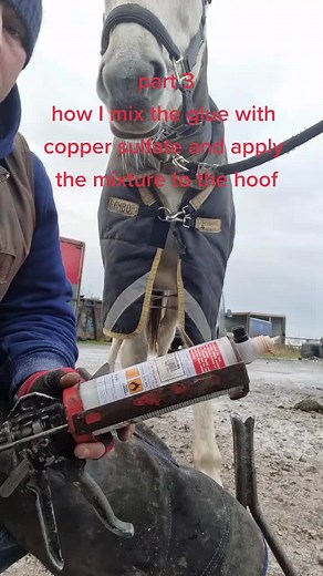 Farrier Tips: Applying Copper Sulfate Mixture to Horse Hoof | UK