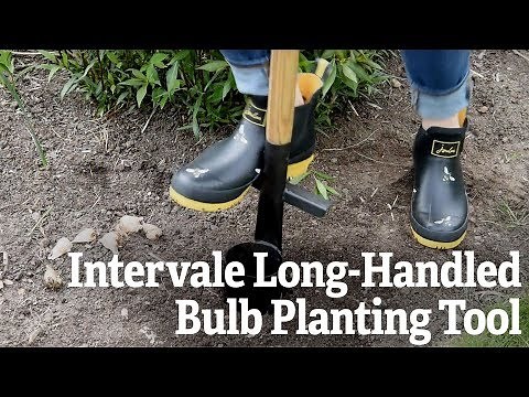 A Closer Look at The Intervale Long-Handled Bulb Planter | Gardener's Supply