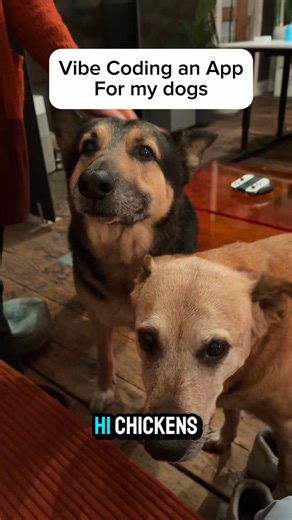 Vibecode.dev | Vibe coding an iOS app for my dogs. Comment "Vibecode" for free access to the app. iPhone and iPad - and sending it to the app store.... | Instagram