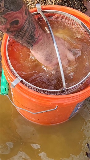 239K views · 451 reactions | Gold Prospecting #bedrockminecraft #goldpanning #goldrush #goldprospecting #treasure #howtofindgold | FishnGold | Facebook