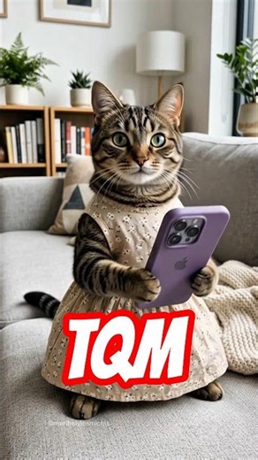 My ex just sent me a WhatsApp that says... 🤣 #funnycats #funnyvideos #jokes #memes #ily