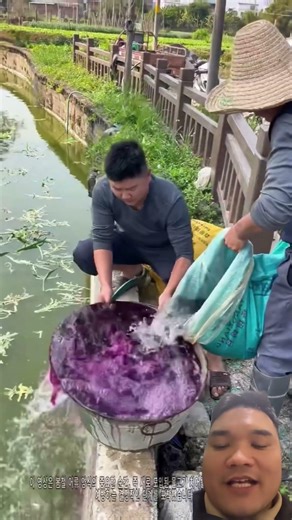 Eliminate pathogens in fish using potassium permanganate before releasing them into the pond. #facts