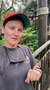 48K views · 1.6K reactions | Tree house tour | Abbyinthegalley | Facebook