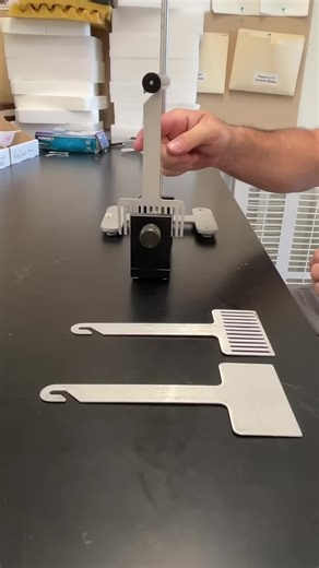 Theory Of Physics on TikTok