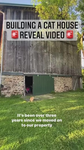 156K views · 9.6K reactions | Part 2 - inside reveal already posted! #catstagram #catlife #catcolony #catsofinstagram #cathouse #catlover | Freedom Farmhouse | Facebook