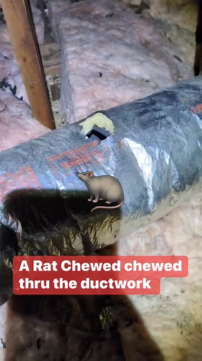 Ductwork Repair from rodent damage. Need ductwork repaired or Replaced! Call Patton 901-489-2119 | Patton Plumbing Heating and AC