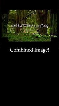 Fullscreen DVD expands Middle-earth?! Lord of the Ring’s Full-Screen Twist