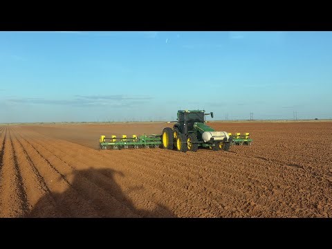 Time to go Plant Some Peanuts