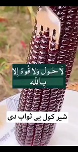 173K views · 11K reactions | یوځل یې ختمن درسره واورئ��� . . . . ....