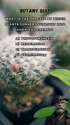 6.4K views · 205 reactions | Let's put your botany knowledge to the test! Join our quiz and show off your green thumb!  #BotanyQuiz #GreenGenius #quiz #quiztime #plantitalife #reelsviral #reelsforyou #foryou | QuizzyFizz | Facebook