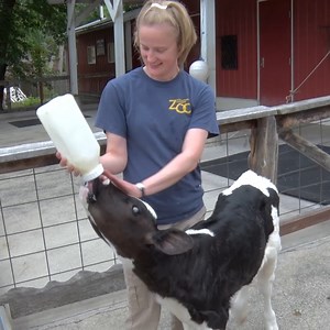21K views · 2K reactions | Happy National Zookeeper Week! Help us thank the team that cares for over 2,200 animals 24/7, 365 days a year. We  our Zookeepers! | Milwaukee County Zoo | Facebook