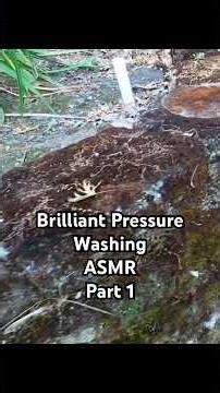 Pressure washing a little wall with BIG moss short, #satisfying, #asmr,#pressurewashing, #short,