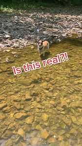 157K views · 1.3K reactions | Geode hunting #trending #rockhound #geode #crystals | Glass gruble | Facebook