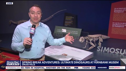 New dinosaur exhibit at Fernbank Museum