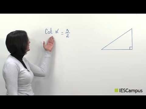 TRIGONOMETRIA: Razones trigonométricas de ángulo agudo