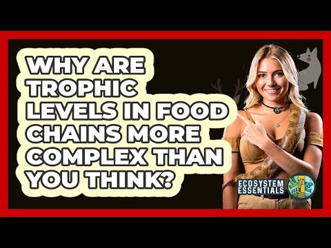 Why Are Trophic Levels In Food Chains More Complex Than You Think? - Ecosystem Essentials