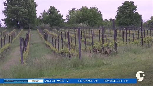 Township defiant in face of $50 million winery judgement