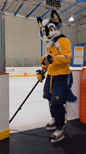 Nightzy  on Instagram: "Fursuit Trickshots!! #furry #furryfandom #fursuit #furrycommunity #fursuiter #furries #fursuitersofinstagram #fursona #hockey"