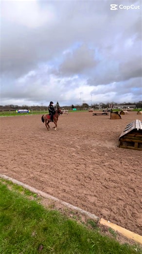 Name a cooler 13hh pocket rocket (for lease in spring pm me if interested)