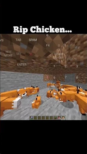 Rip Chicken