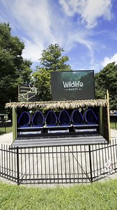 2.1K views · 102 reactions | NEW! Try Wildlife Quest, a virtual reality experience featuring the film Gorilla Trek, and get up close with gorillas in the mountains of Rwanda. 轢 Learn more and buy tickets: https://bit.ly/46Km1t5 | The Maryland Zoo in Baltimore | Facebook