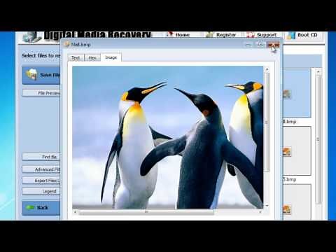 BMP File Recovery Software - Recover BMP File