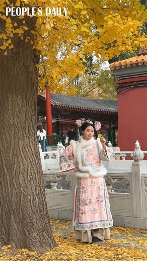 10K views · 1.6K reactions | Visitors flock to Zhongshan Park in Beijing, capturing autumn’s final sparkle amid the golden ginkgo leaves. | People's Daily, China | Facebook