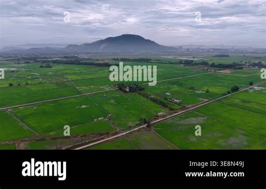 Aerial view of Penanti paddy fields and surrounding landscape Stock Video Footage - Alamy