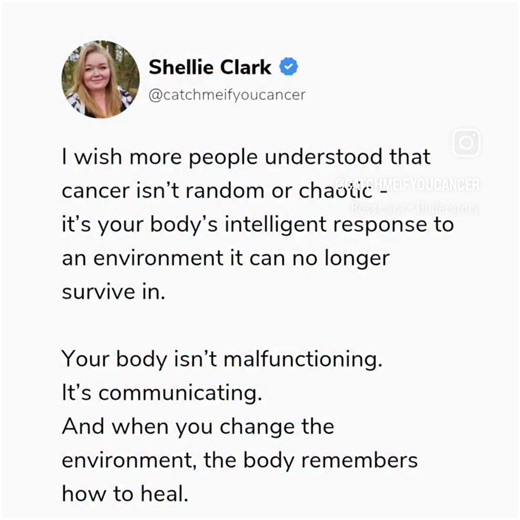 Cancer doesn’t happen in chaos — it happens when the body has been surviving too long in stress, grief, fear, or disconnection. It’s an intelligent adaptation, not a betrayal. When you begin to change the environment within - your thoughts, emotions, relationships, and beliefs - the body no longer needs to scream for safety. It can finally rest in the peace it needs to heal. Your body isn’t malfunctioning, it’s communicating. Science is showing us a whole new way of understanding cancer and surv