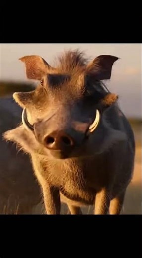 Funny Animal Meme Compilation 😂 Monkey, Cat, Lion & Wildest Viral Clips