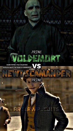 Voldemort vs Newt Scamander