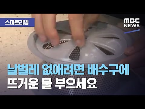 [스마트 리빙] 날벌레 없애려면 배수구에 뜨거운 물 부으세요 (2020.08.25/뉴스투데이/MBC)