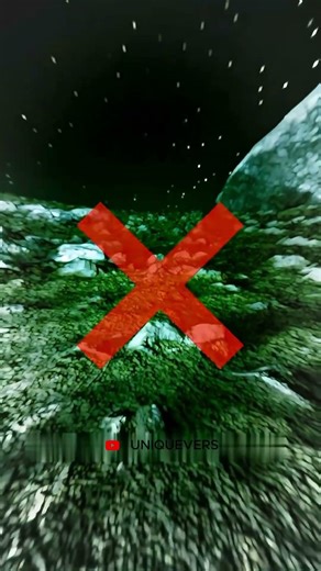 This insect finds its way through the Galaxy 😳 #sciencefacts #facts #science #zackdfilm