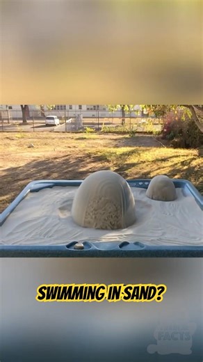 This Isn’t Normal Sand