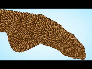 Asmr magic ! This foot asmr will give you relief 💜💜💜💜