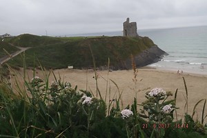 1.3K views · 52 reactions | Out and about in our beautiful...