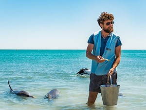 Aquarist | Science & Engineering Career