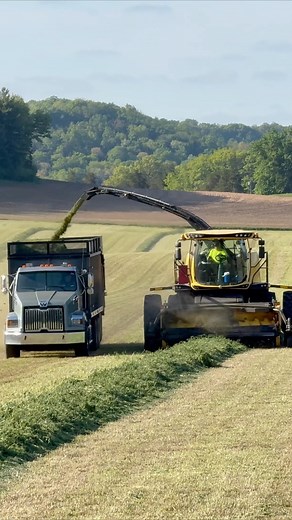 sights scenes from first crop hay! New Holland Agriculture x @Meyer Manufacturing Corp #choppinghay #hay #farm #farmlife #farmer #wisconsin | Elsing Family Pulling Team