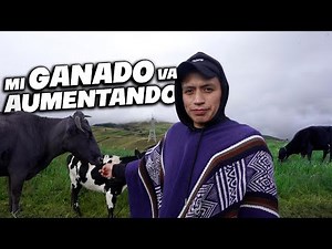 TENGO BUENA ESPALDA PARA EL GANADO | John Valverde