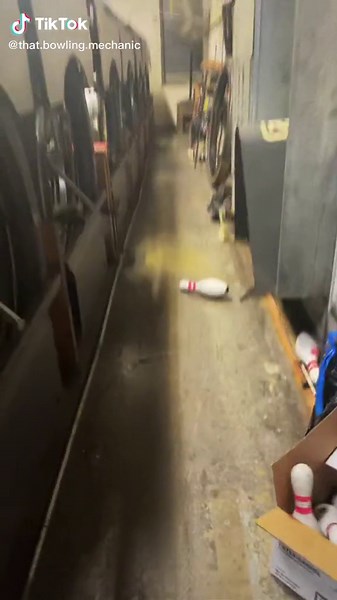 Use my link and code bowl :)